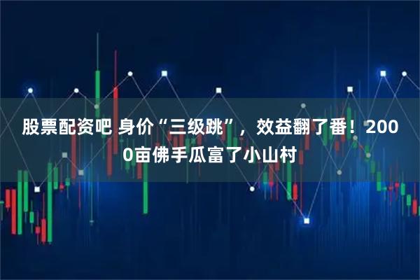 股票配资吧 身价“三级跳”,效益翻了番!2000亩佛手瓜富了小山村
