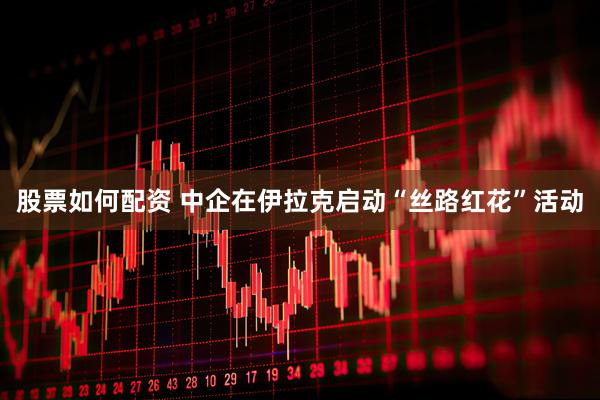 股票如何配资 中企在伊拉克启动“丝路红花”活动